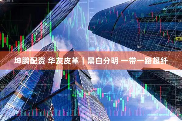 坤鹏配资 华友皮革｜黑白分明 一带一路超纤