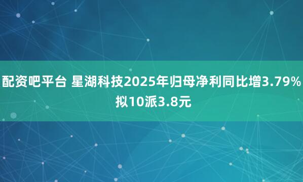 配资吧平台 星湖科技2025年归母净利同比增3.79% 拟10派3.8元